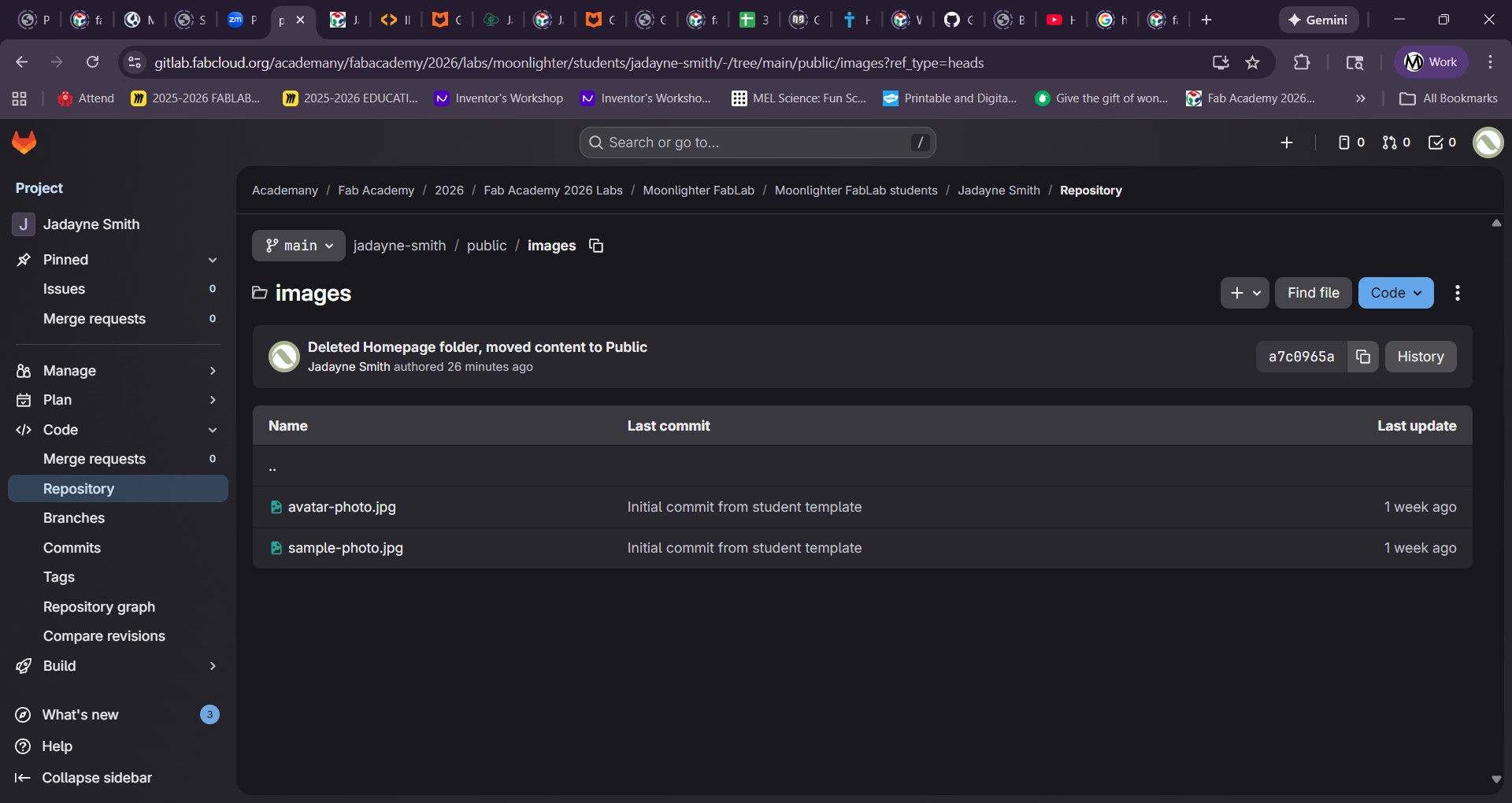 Image of my repository not showing images files